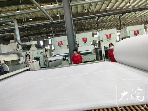 牢记殷殷嘱托 勇闯改革新路 界首产纺织材料能“上雪山下火海”