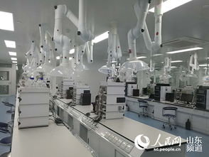 山东罗欣制药 以创新为翼，打破国外垄断，引领医药研发与国际水平同步前行